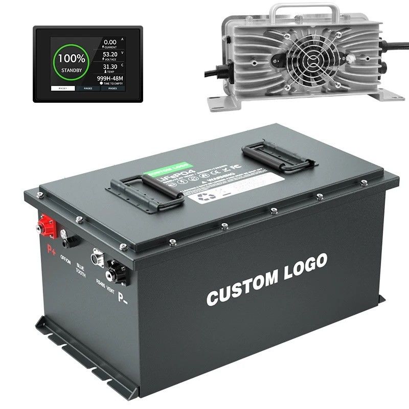 51.2V 105Ah LiFePO4 গল্ফ কার্ট ব্যাটারি দীর্ঘ চক্র জীবন EV LifePo4 ব্যাটারি 48V 100Ah 200Ah